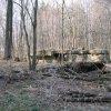 2005 Remains